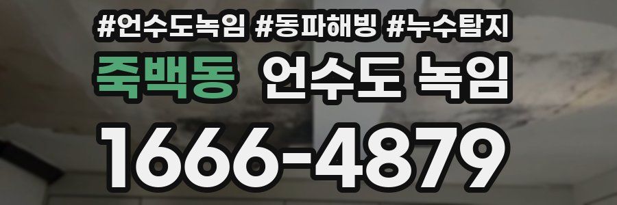 죽백동 언수도 녹임