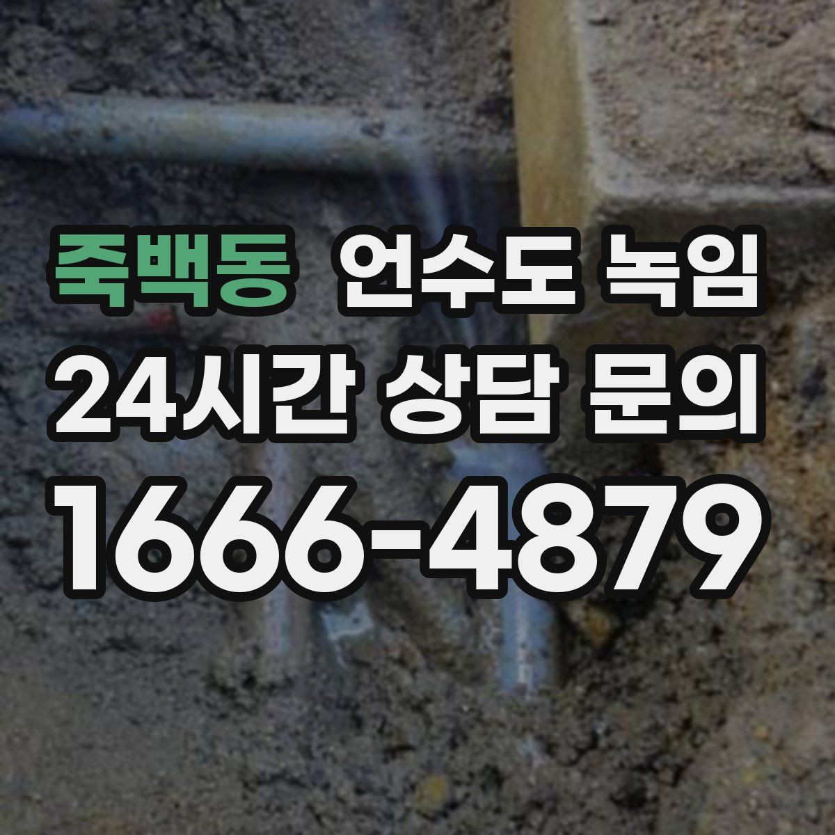 죽백동 언수도 녹임