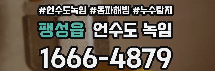 팽성읍 언수도 녹임