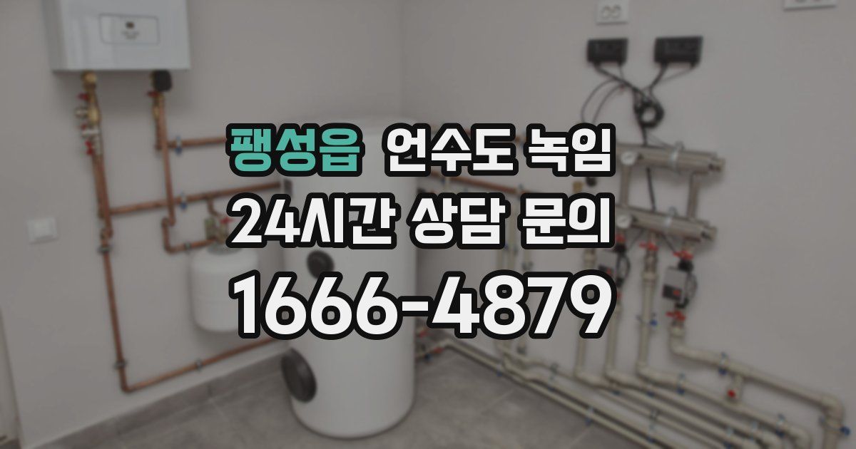 팽성읍 언수도 녹임