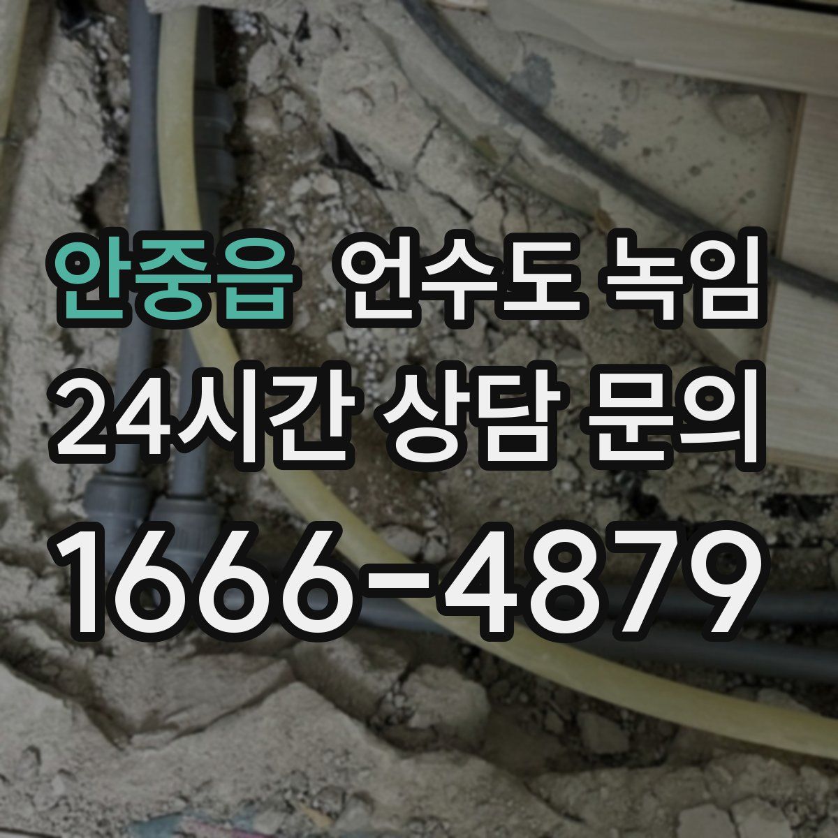 안중읍 언수도 녹임