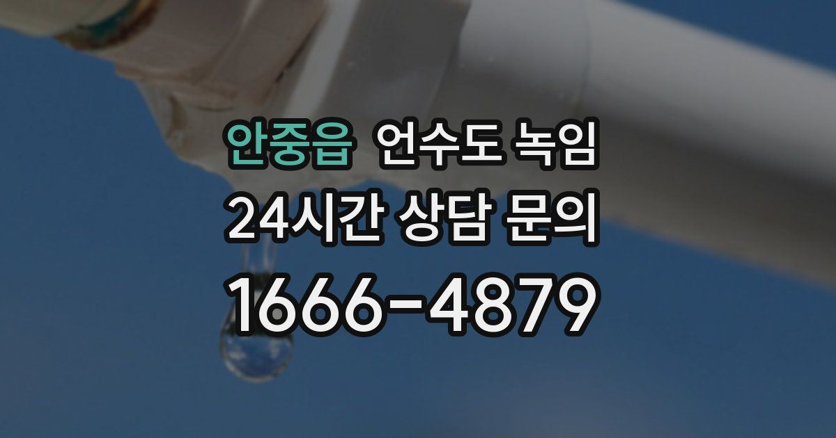 안중읍 언수도 녹임