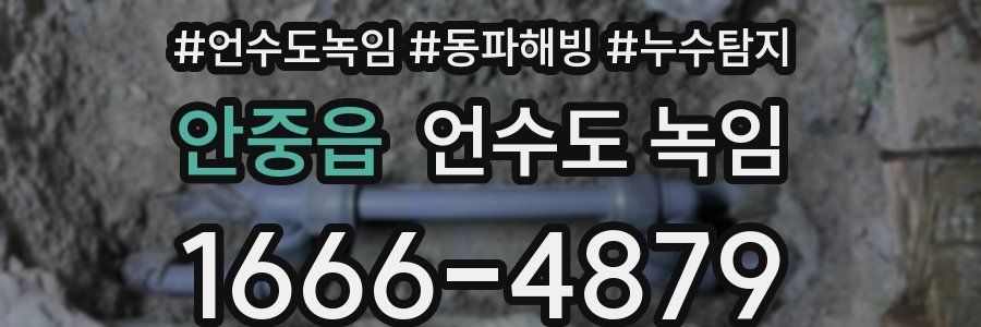 안중읍 언수도 녹임