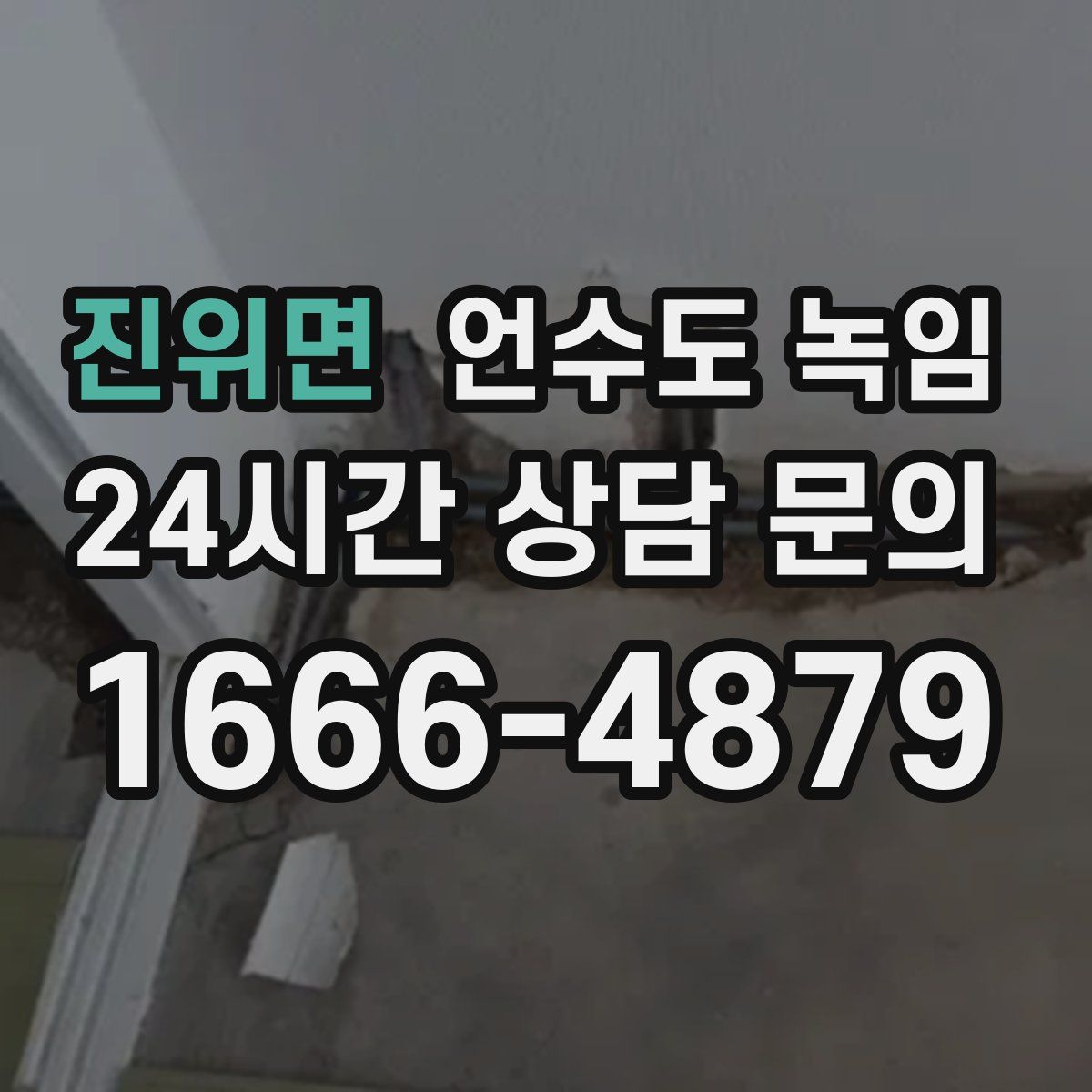 진위면 언수도 녹임