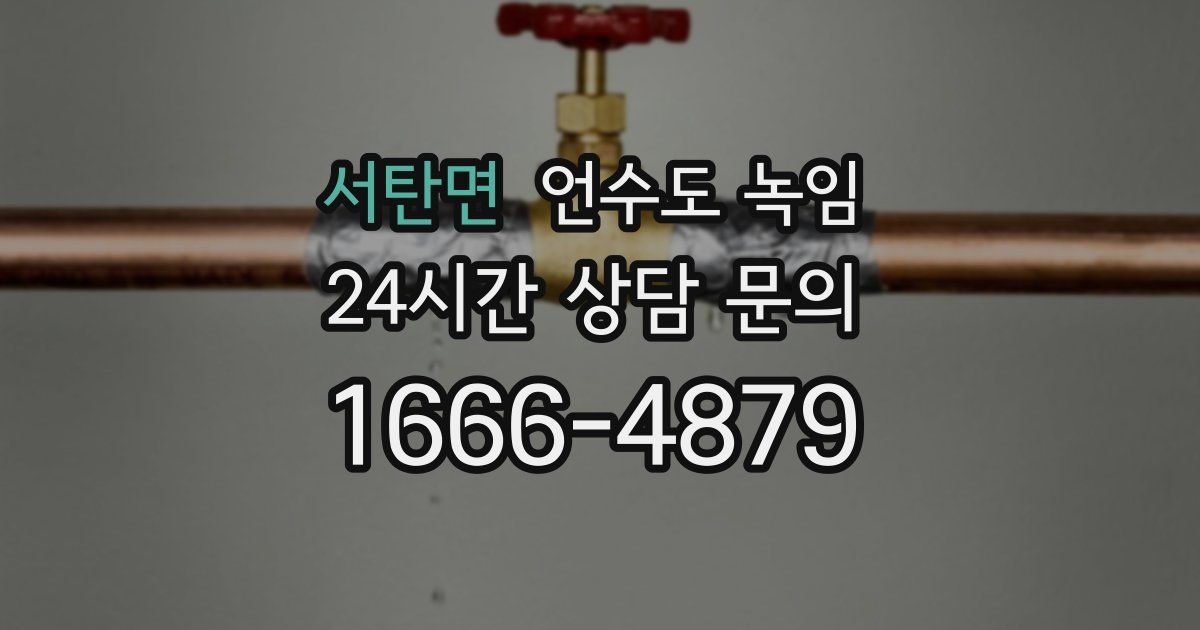 서탄면 언수도 녹임