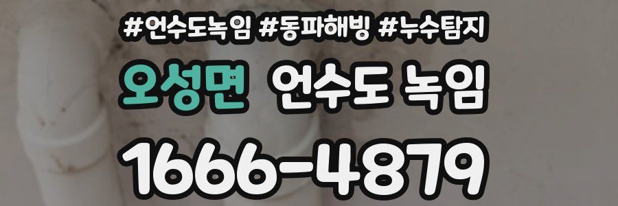 오성면 언수도 녹임