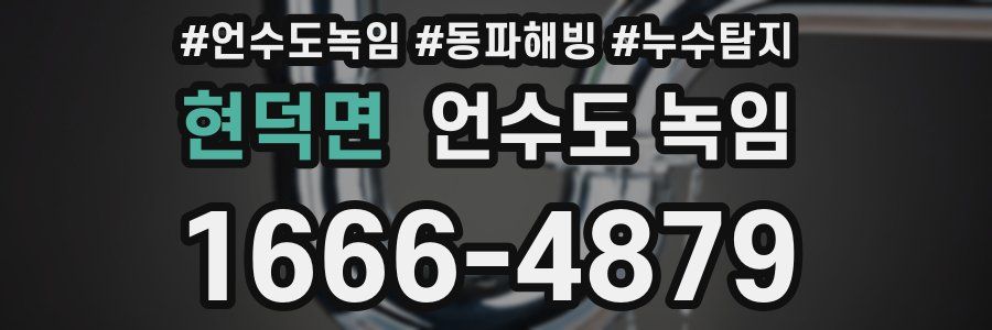 현덕면 언수도 녹임