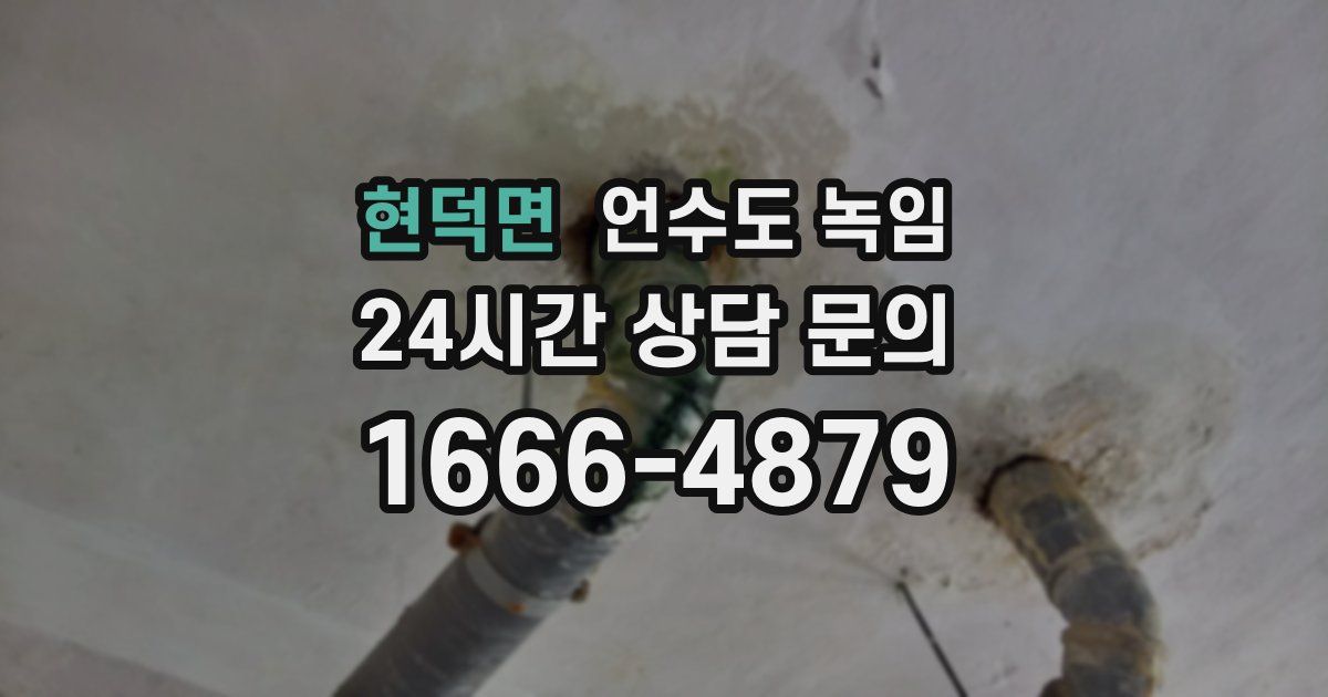 현덕면 언수도 녹임