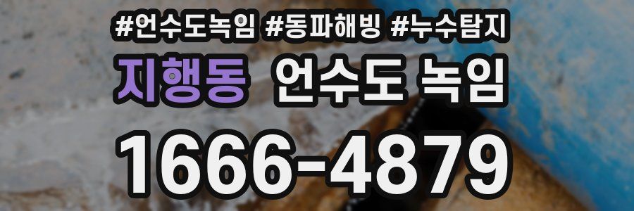 지행동 언수도 녹임