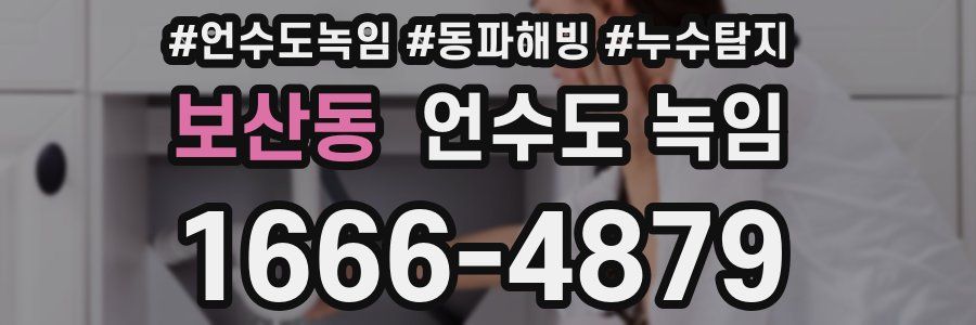 보산동 언수도 녹임