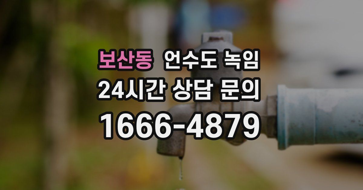 보산동 언수도 녹임