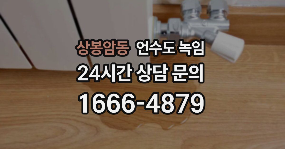 상봉암동 언수도 녹임