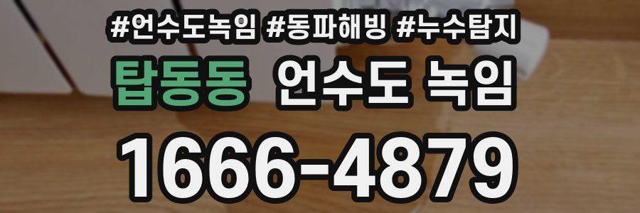 탑동동 언수도 녹임