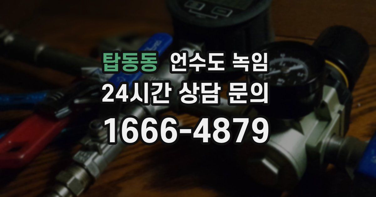 탑동동 언수도 녹임