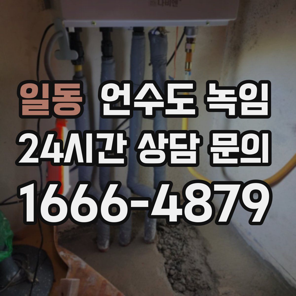 일동 언수도 녹임