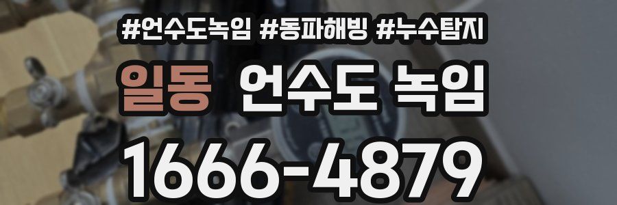 일동 언수도 녹임