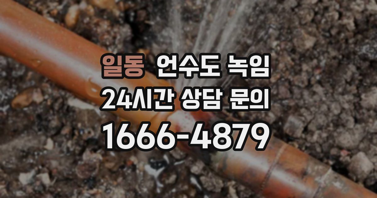 일동 언수도 녹임