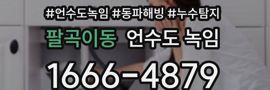 팔곡이동 언수도 녹임