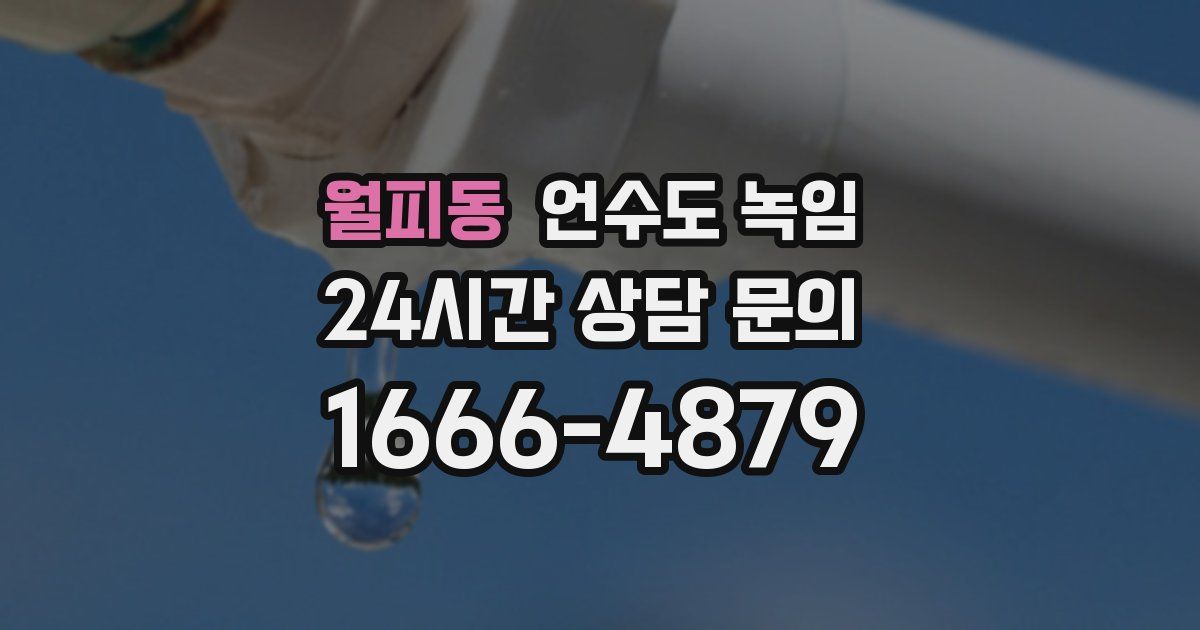 월피동 언수도 녹임