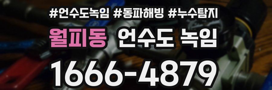 월피동 언수도 녹임