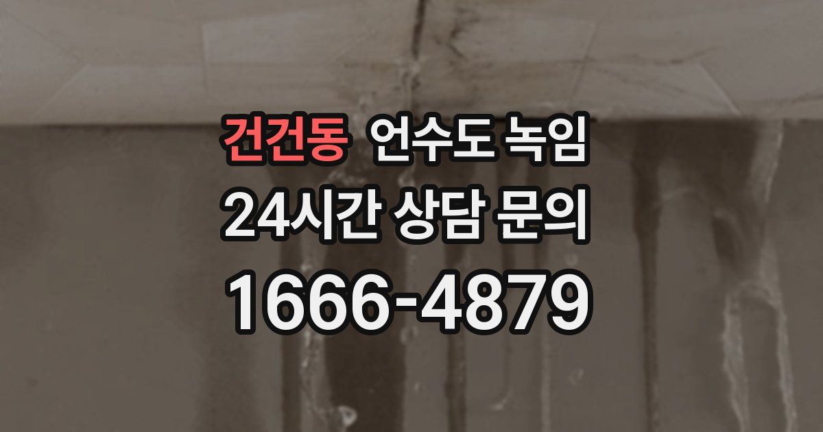건건동 언수도 녹임