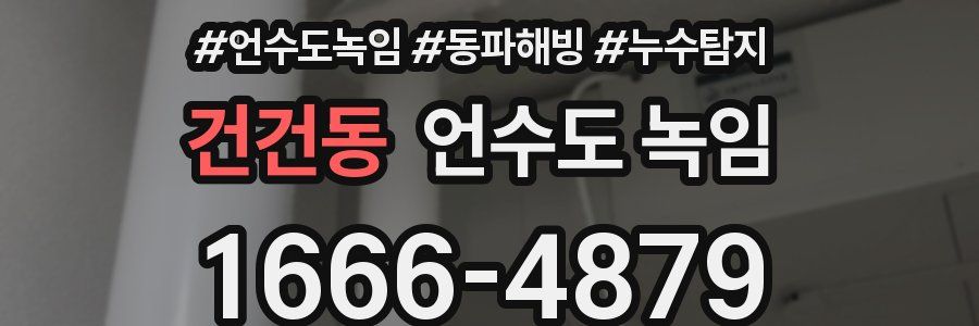 건건동 언수도 녹임