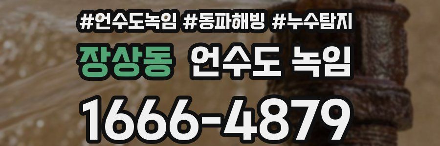 장상동 언수도 녹임