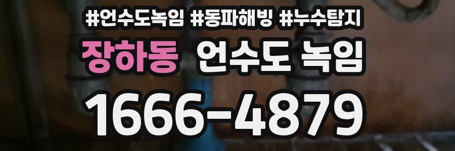 장하동 언수도 녹임