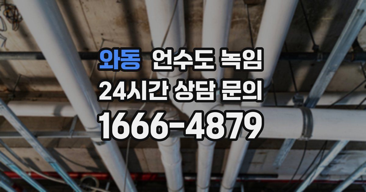 와동 언수도 녹임