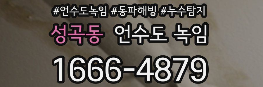 성곡동 언수도 녹임