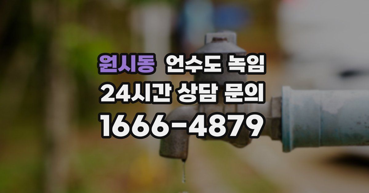 원시동 언수도 녹임