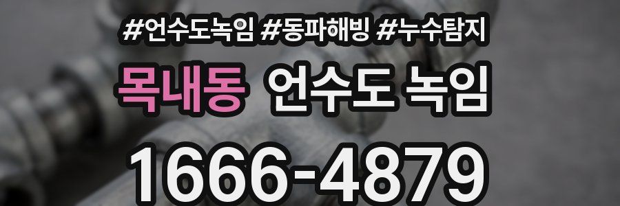 목내동 언수도 녹임