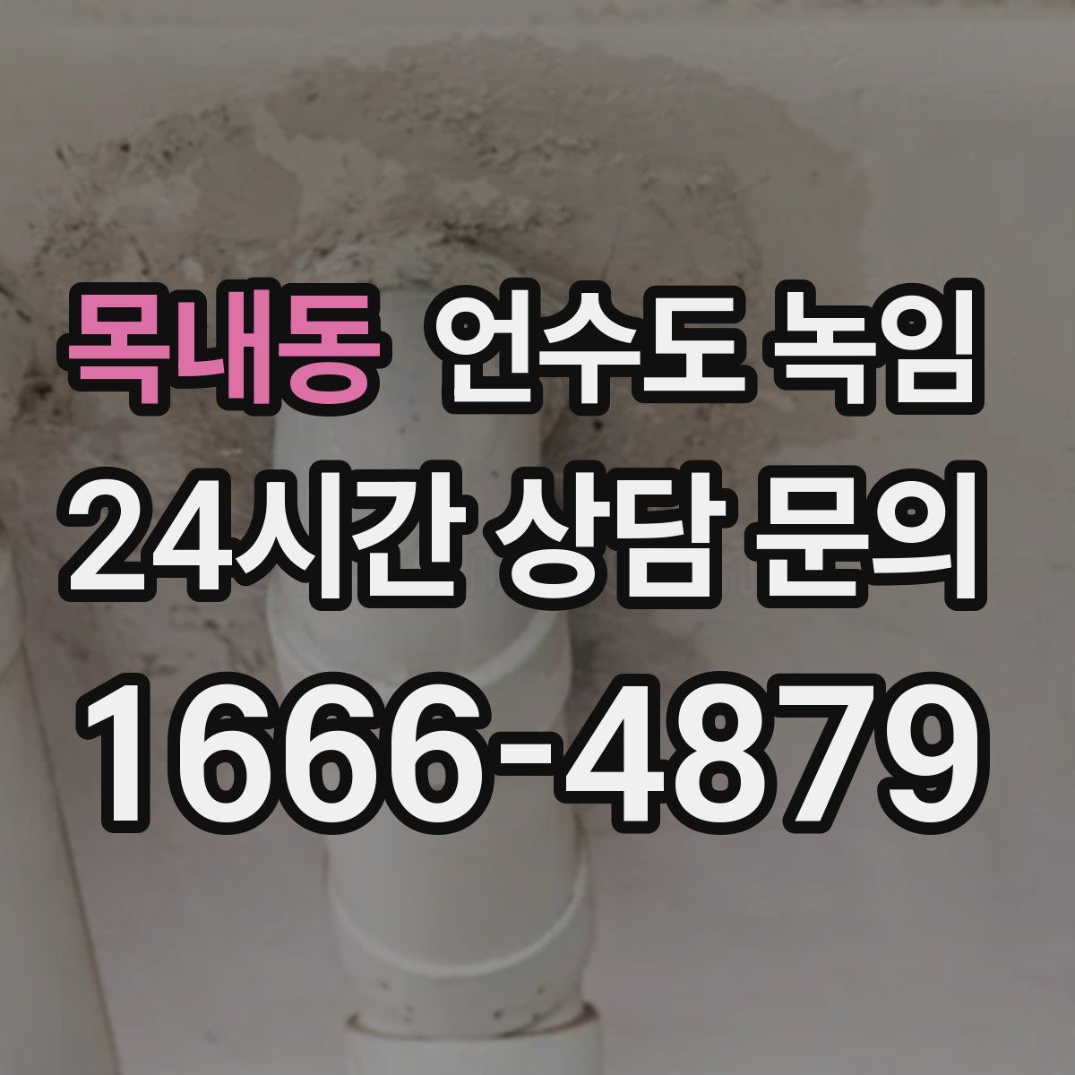 목내동 언수도 녹임