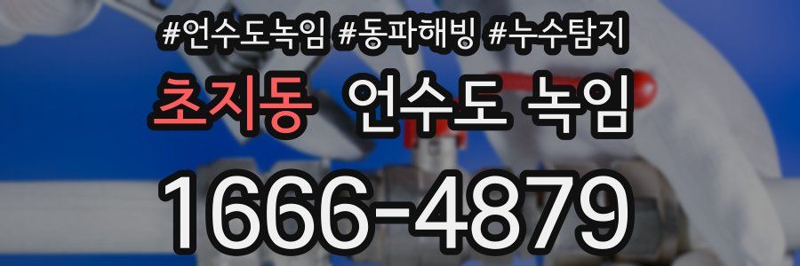초지동 언수도 녹임