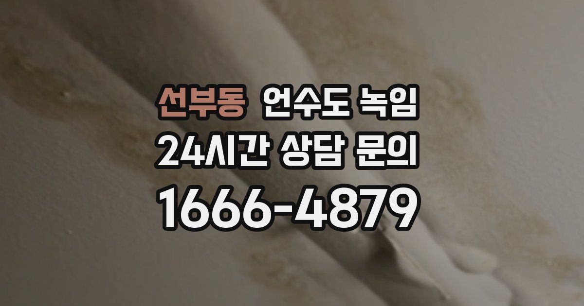 선부동 언수도 녹임