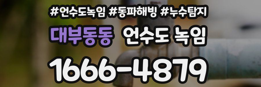 대부동동 언수도 녹임