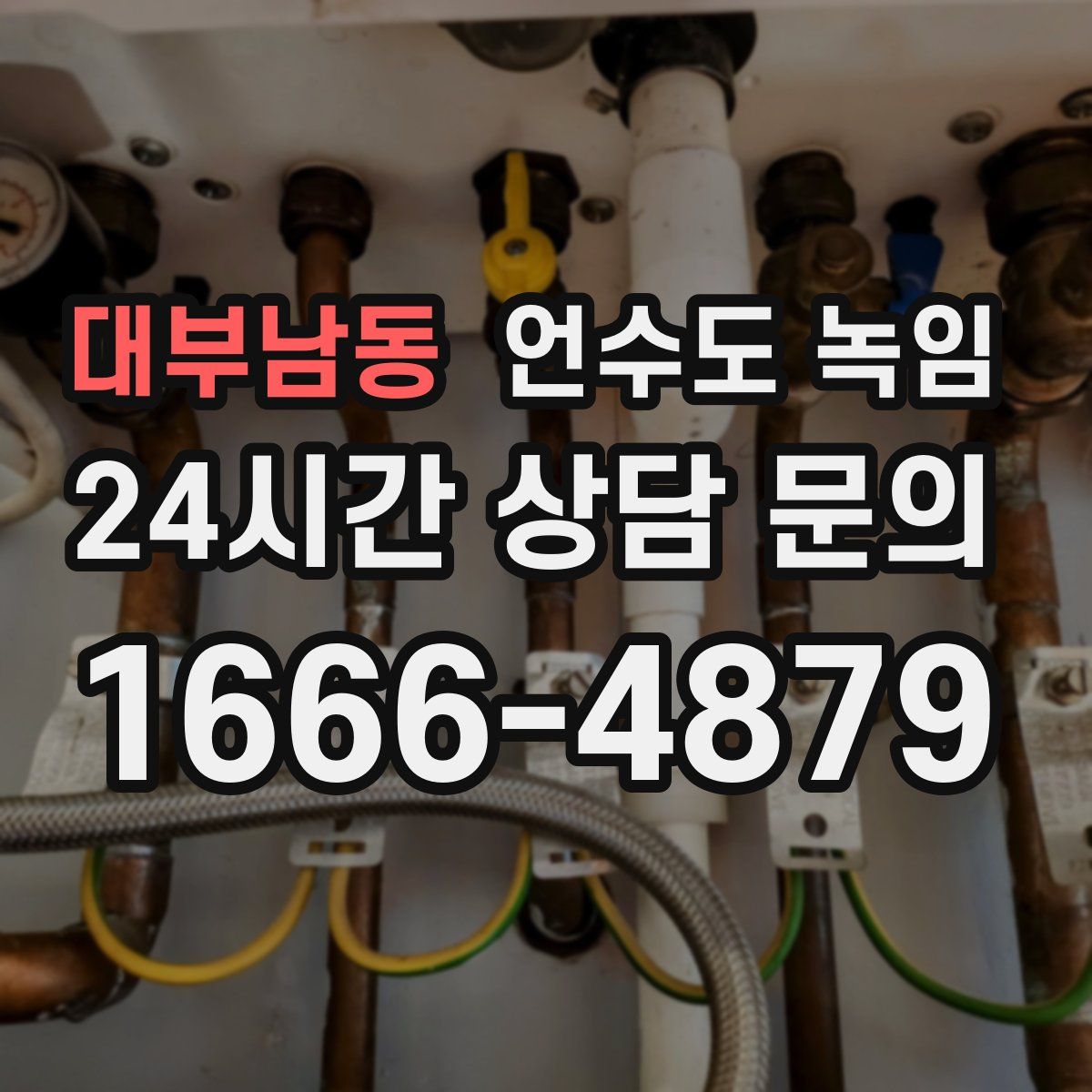 대부남동 언수도 녹임