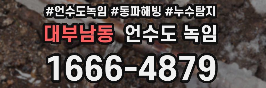 대부남동 언수도 녹임