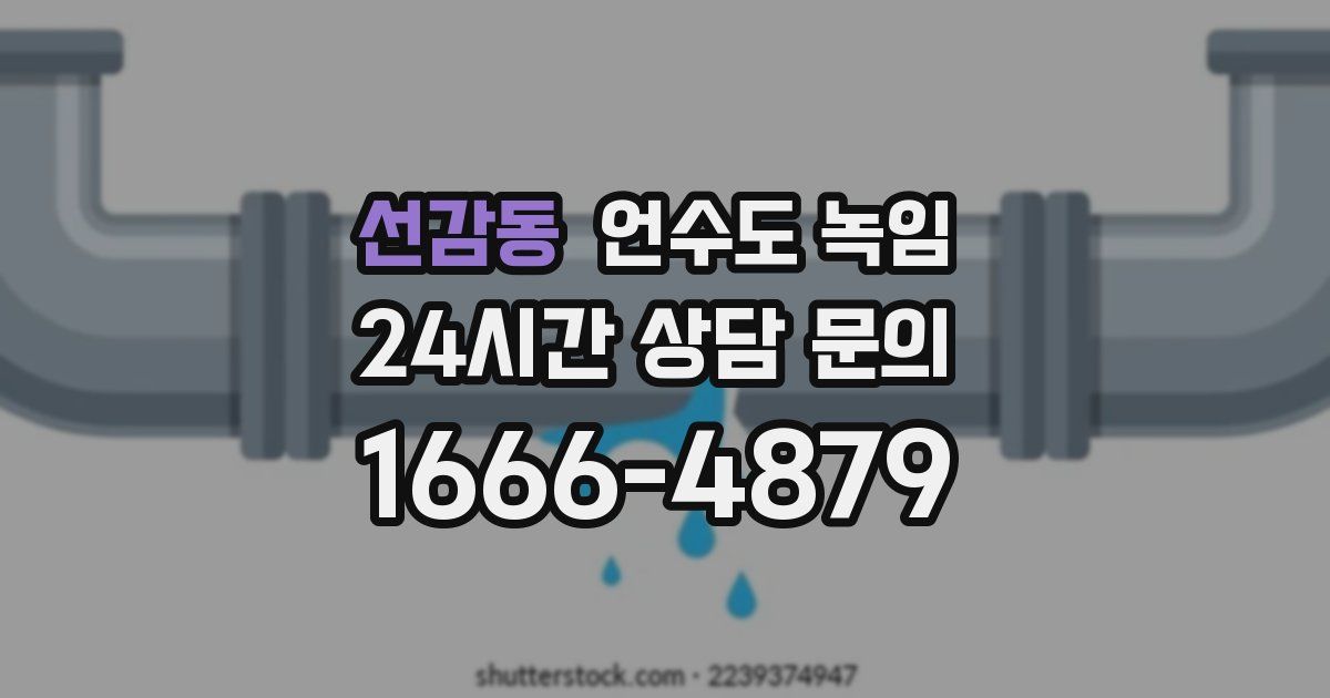 선감동 언수도 녹임