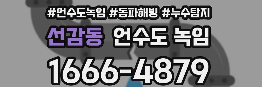 선감동 언수도 녹임