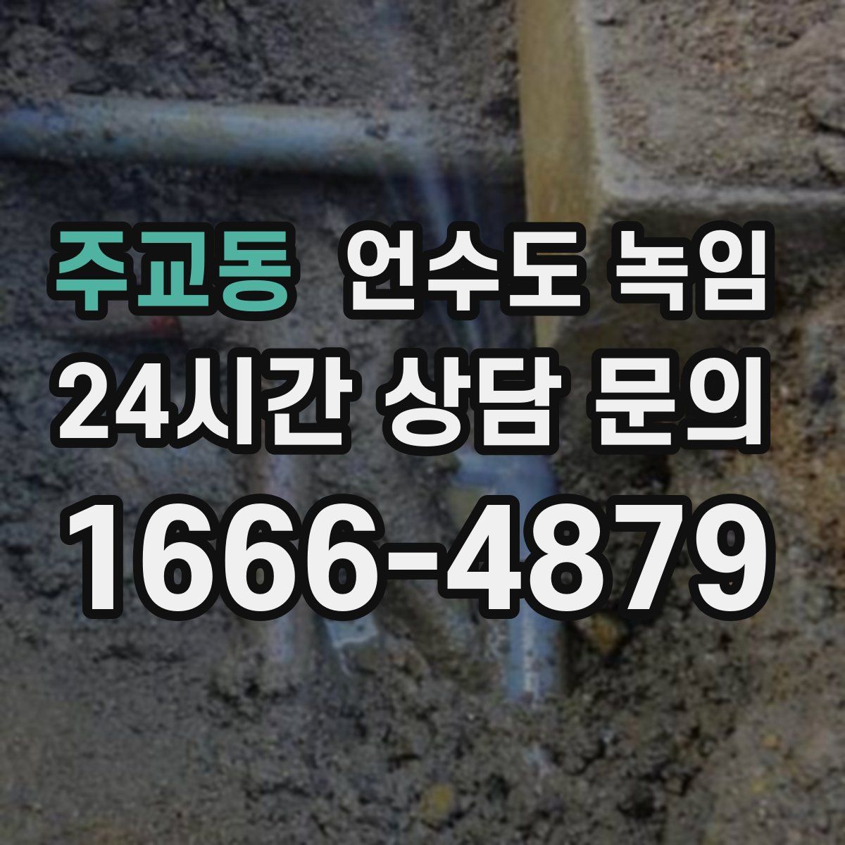 주교동 언수도 녹임