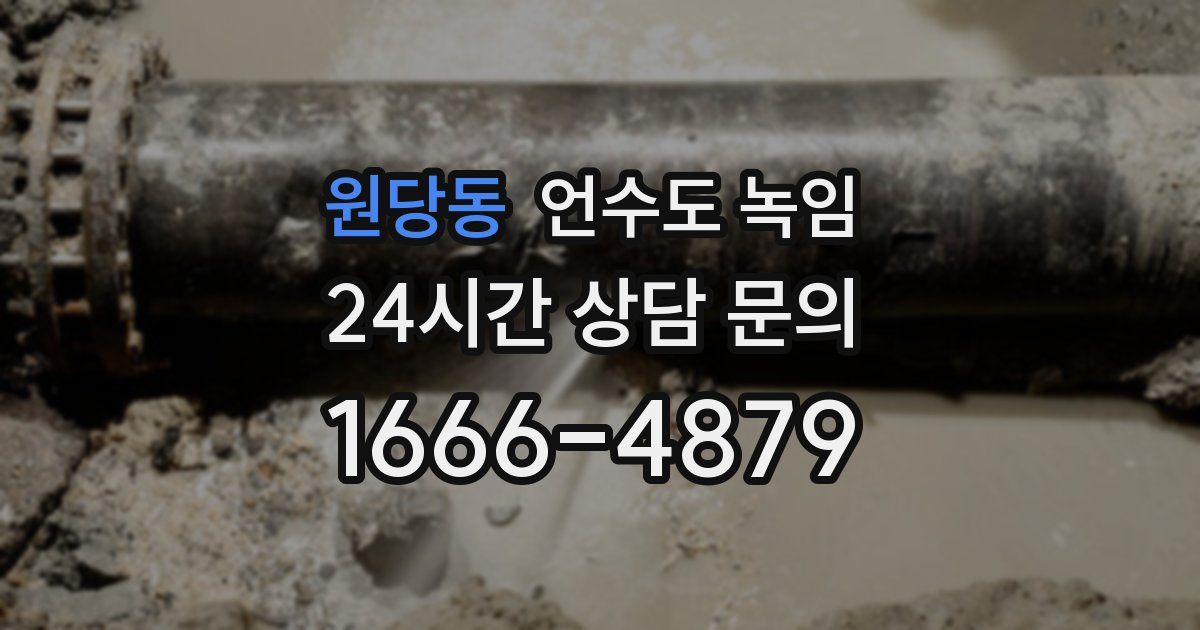 원당동 언수도 녹임