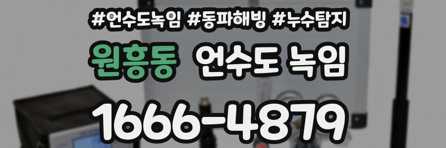 원흥동 언수도 녹임