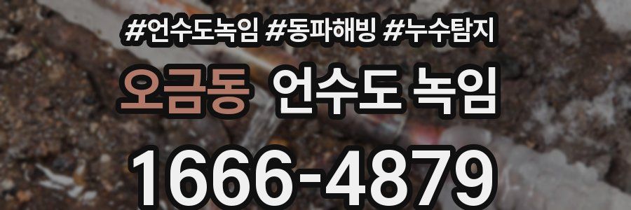 오금동 언수도 녹임