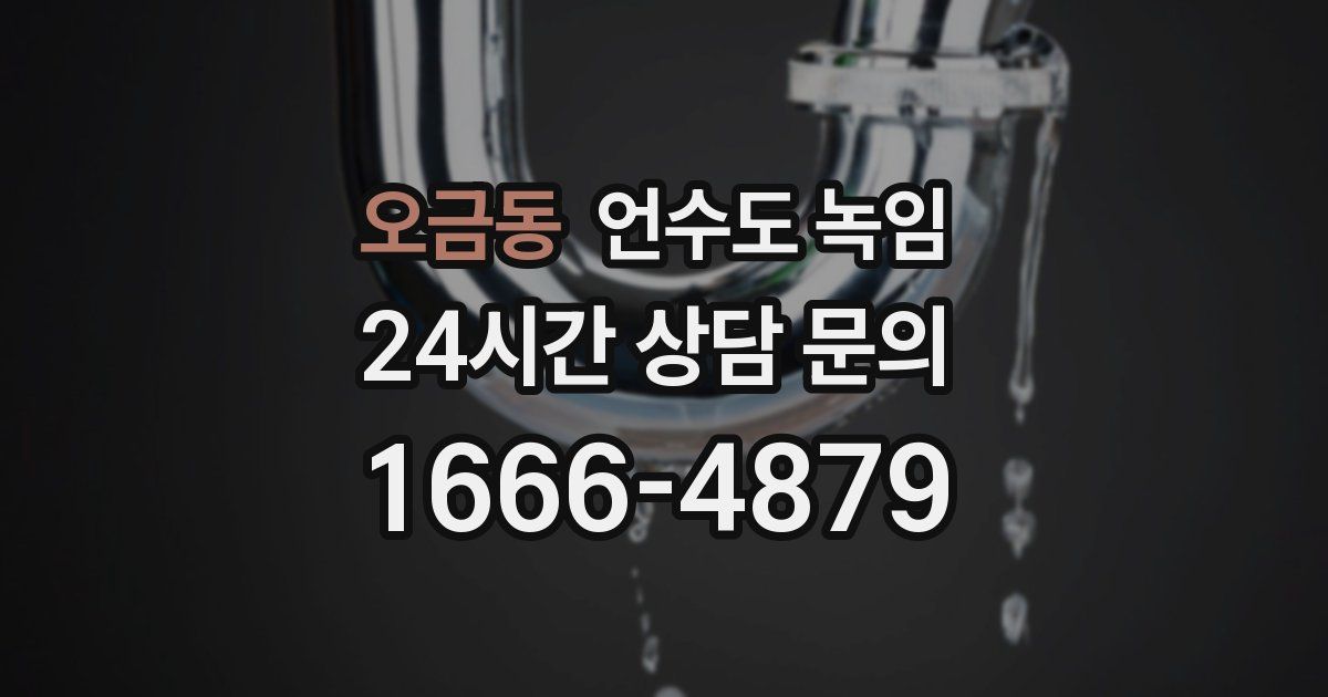 오금동 언수도 녹임