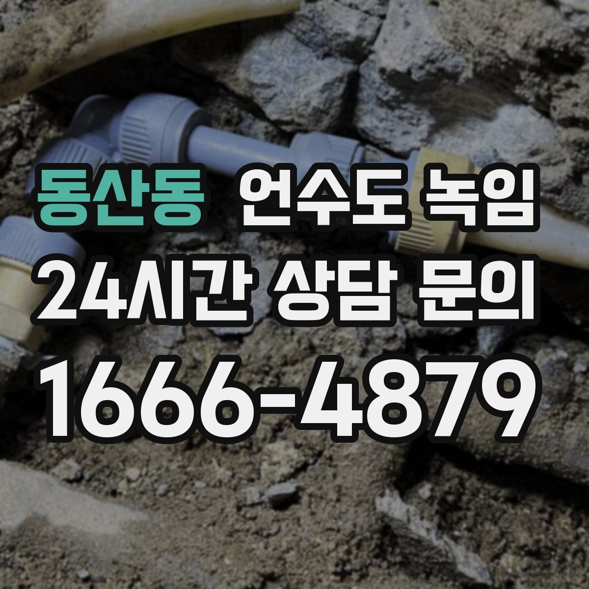 동산동 언수도 녹임