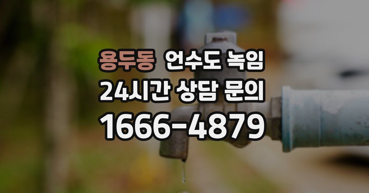 용두동 언수도 녹임