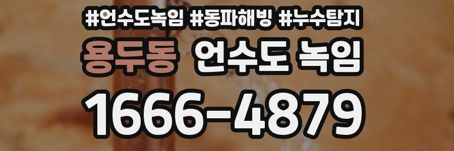 용두동 언수도 녹임