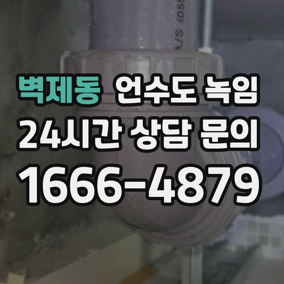 벽제동 언수도 녹임