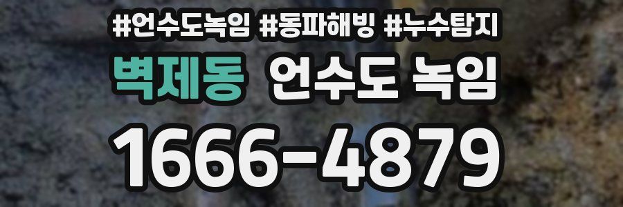 벽제동 언수도 녹임
